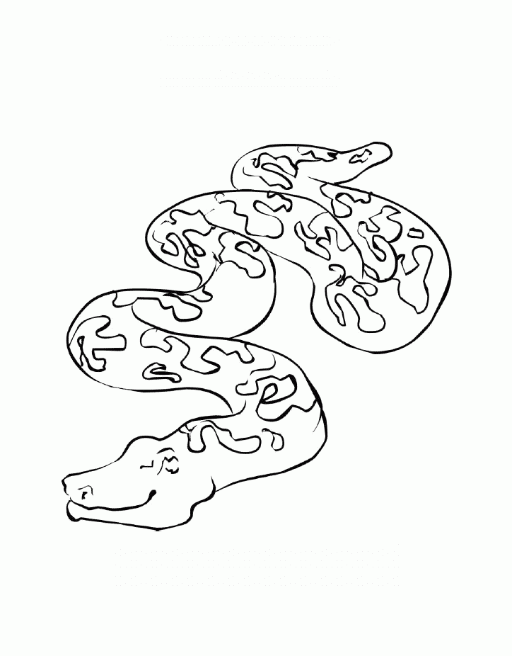 desene de colorat anaconda